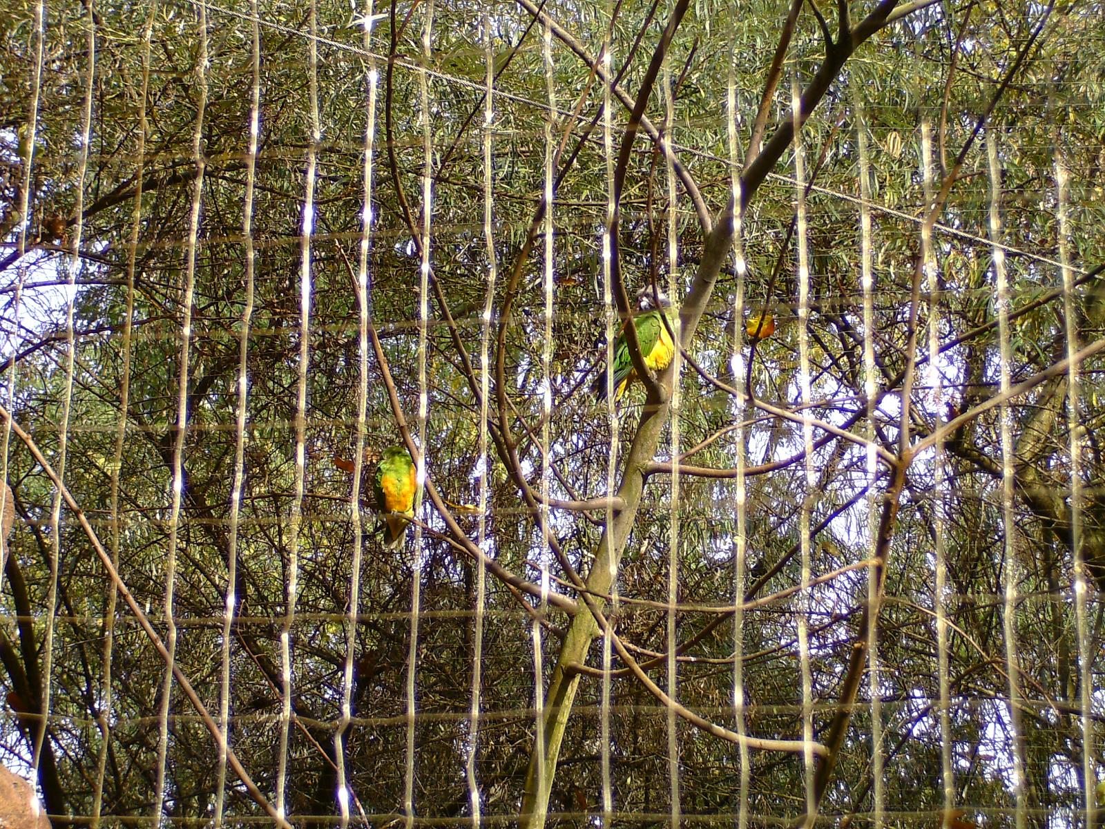 Zoom 18.10.08-099.jpg